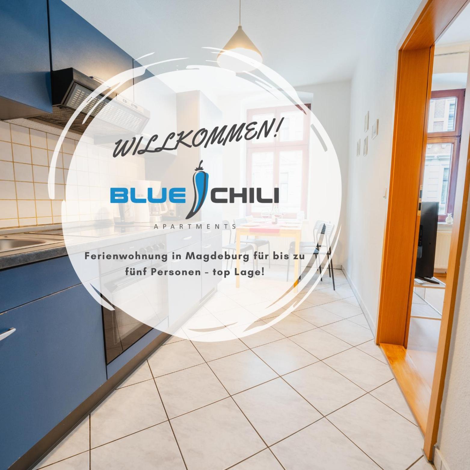 Blue Chili 08 - Magdeburg 2-Zimmer Altbau, Wi-Fi, 5 Pax Exteriör bild